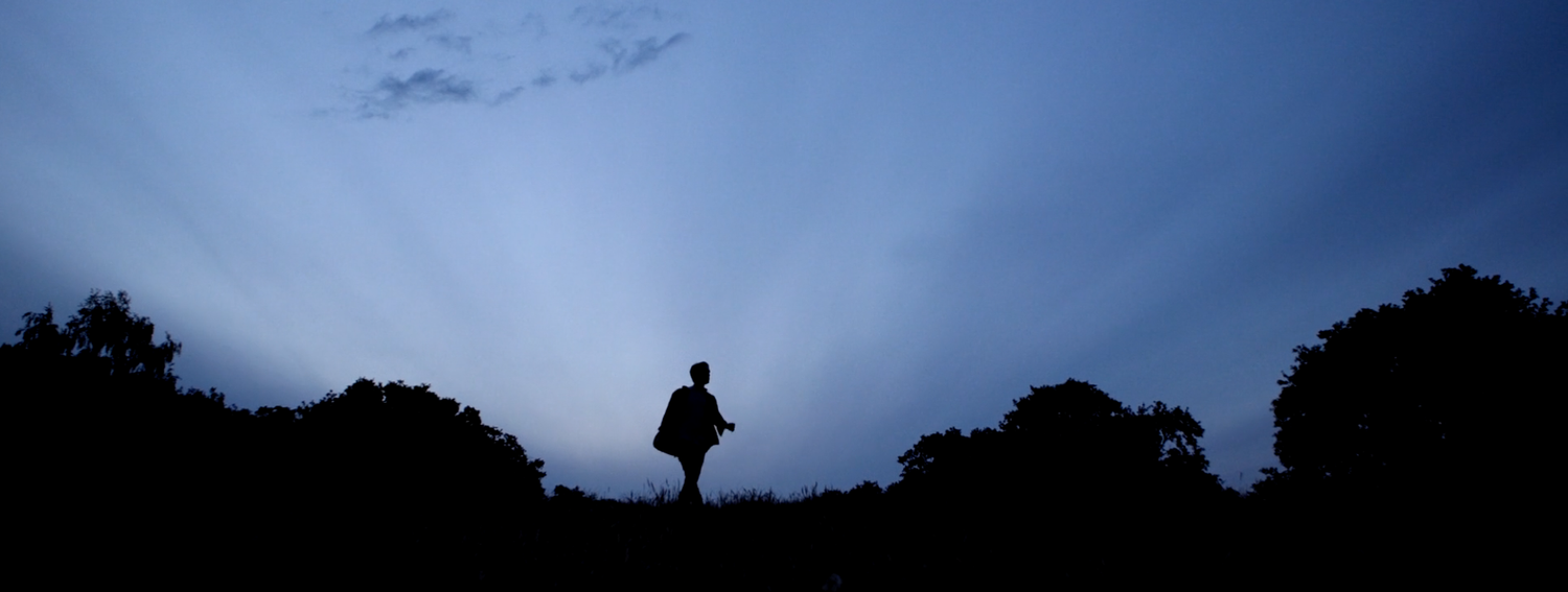 Alfonso & The Foxes - A Children's book by Peter Harmer