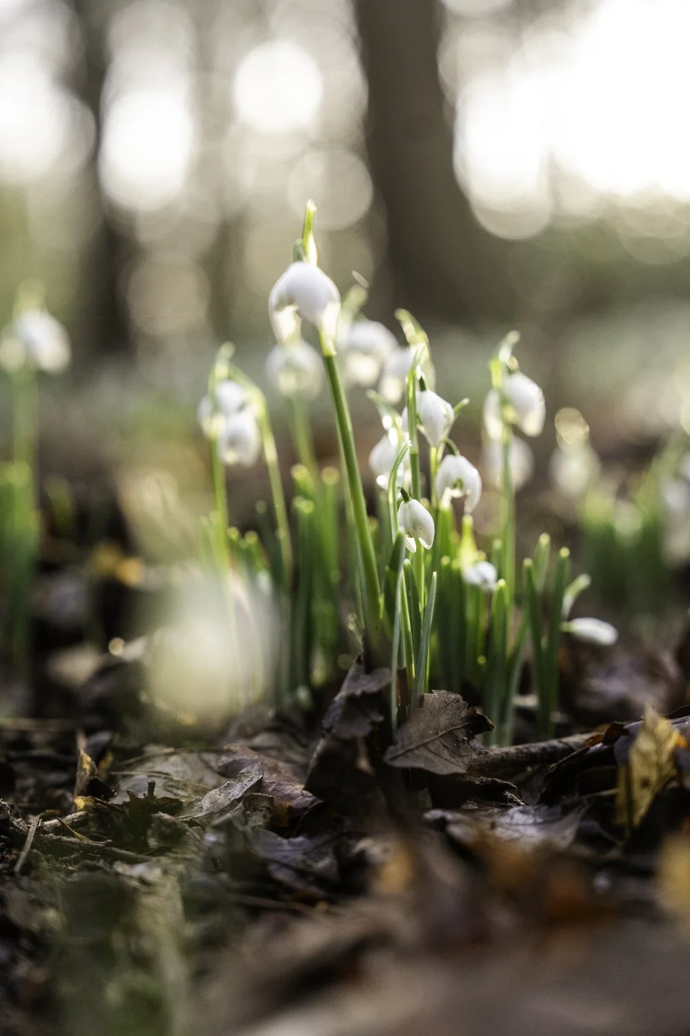 Louis James-Parker-09464.jpg