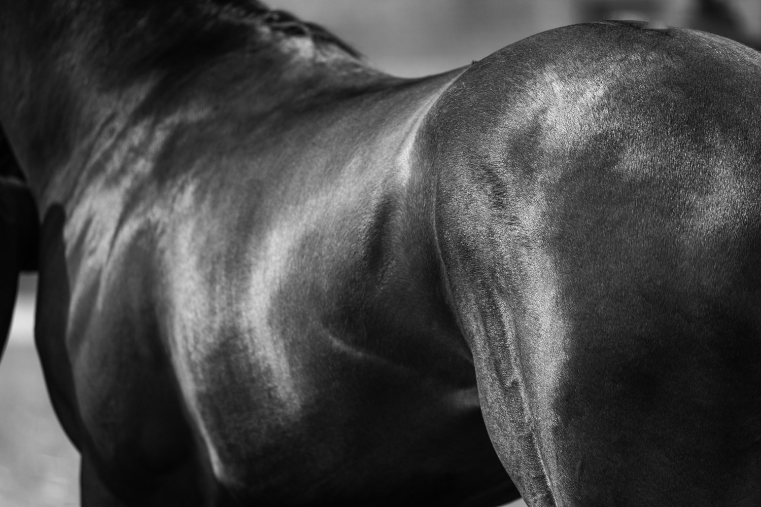 ©Louis James-Parker-01616.jpg