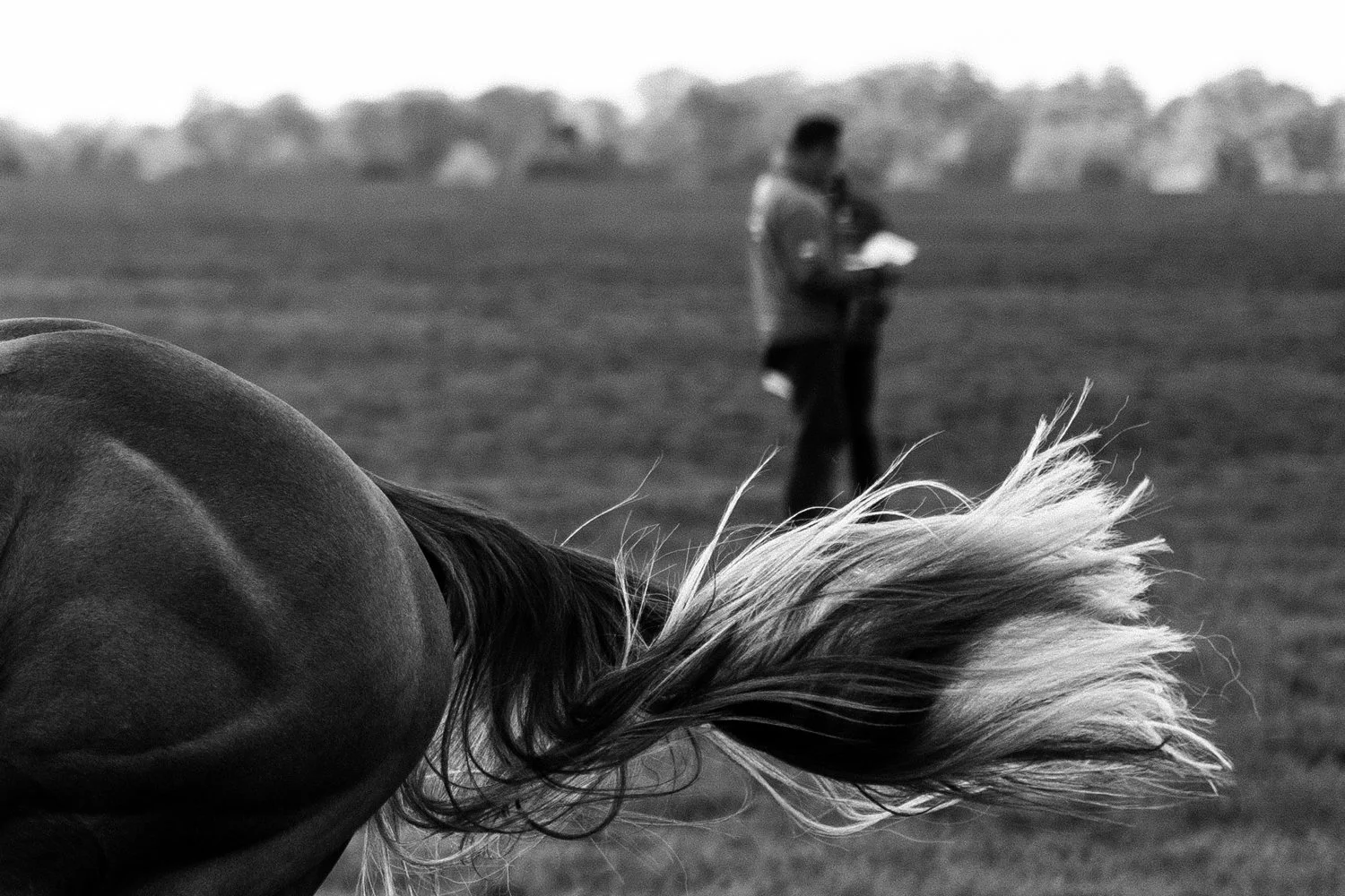 ©Louis James-Parker-01366.jpg