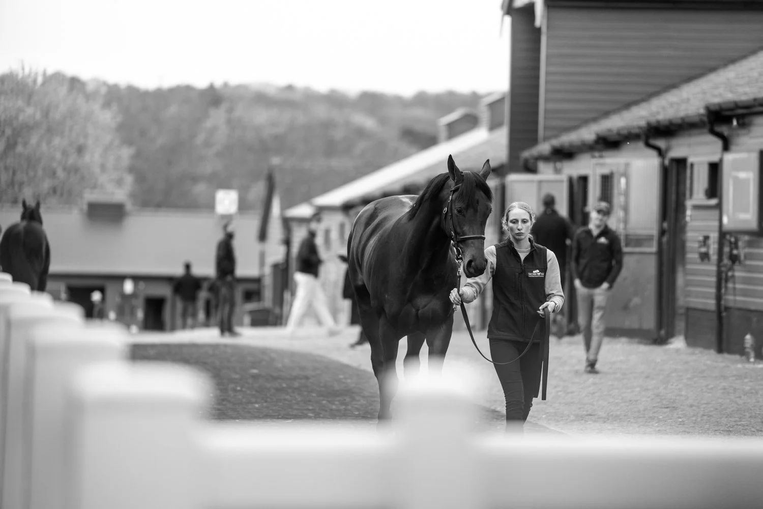 ©Louis James-Parker-02116.jpg