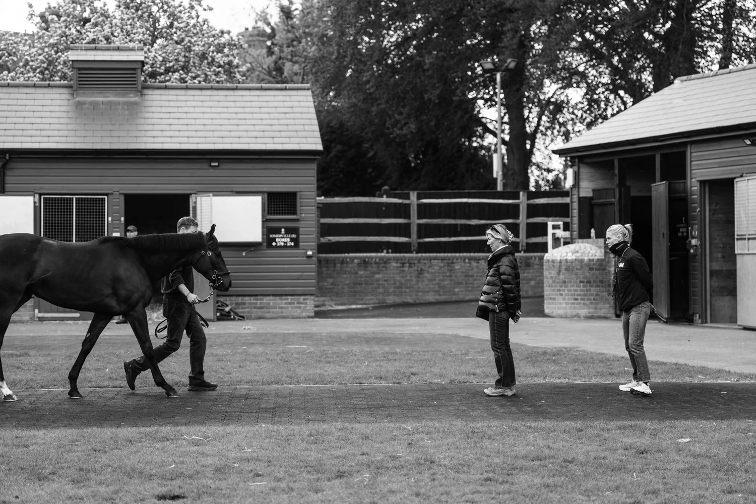 ©Louis James-Parker-01537.jpg