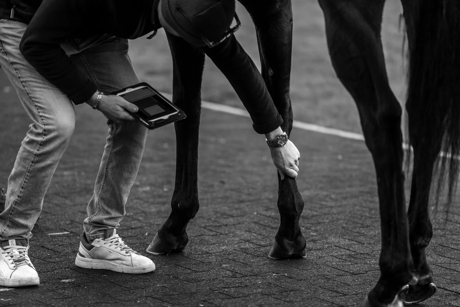 ©Louis James-Parker-01964.jpg