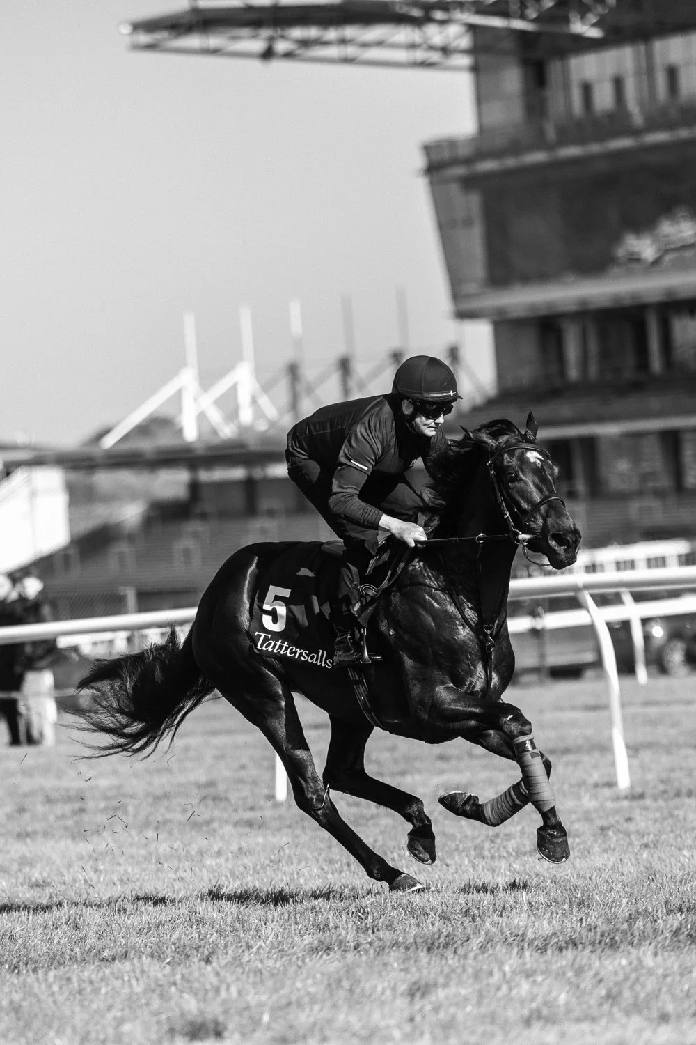 ©Louis James-Parker-00638.jpg