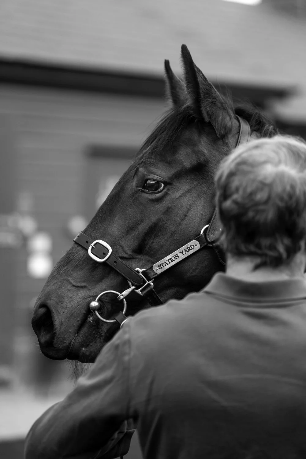 ©Louis James-Parker-01868.jpg