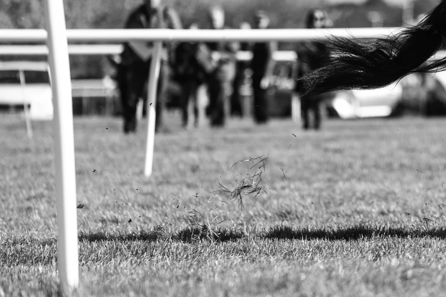 ©Louis James-Parker-00749.jpg