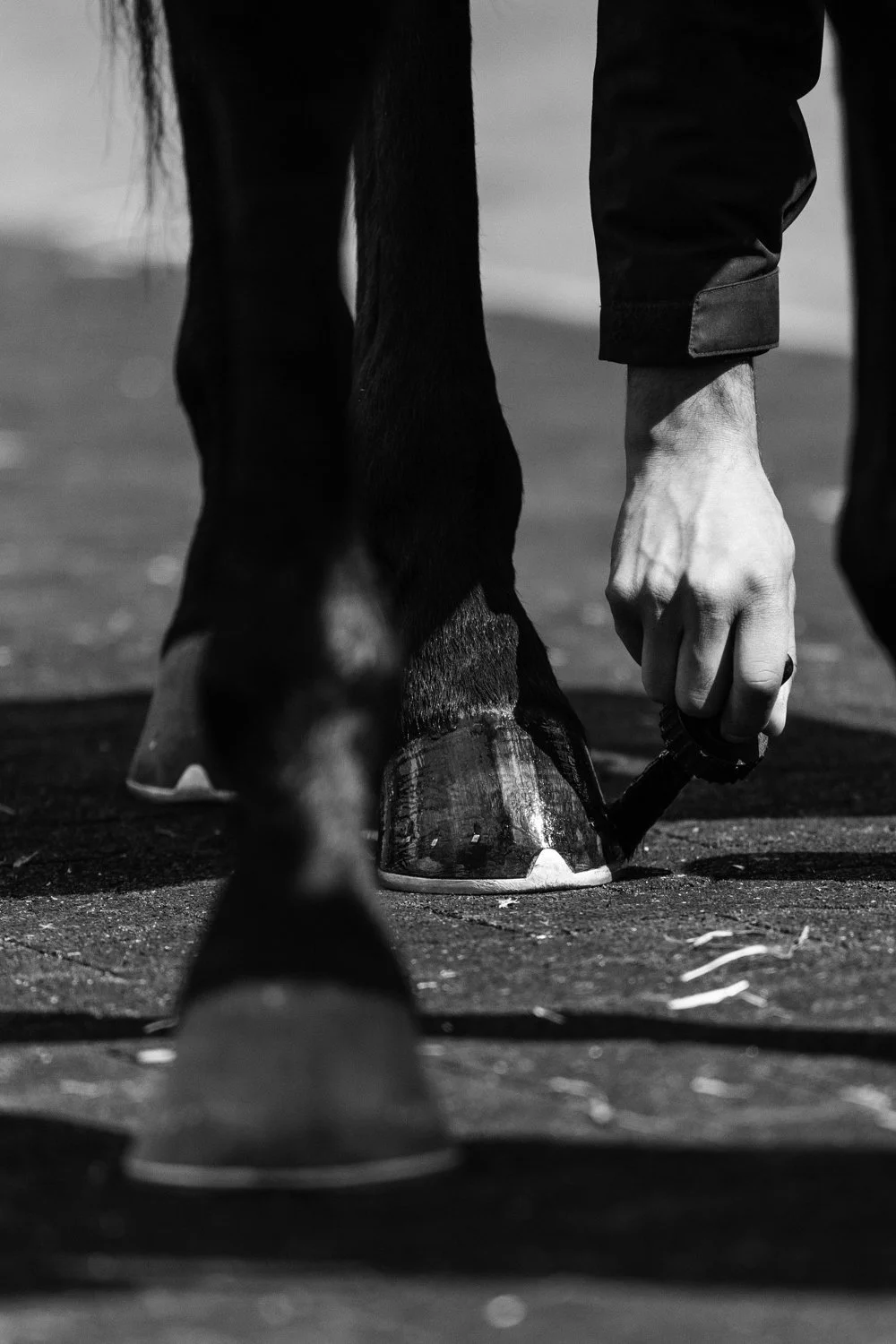 ©Louis James-Parker-01626.jpg