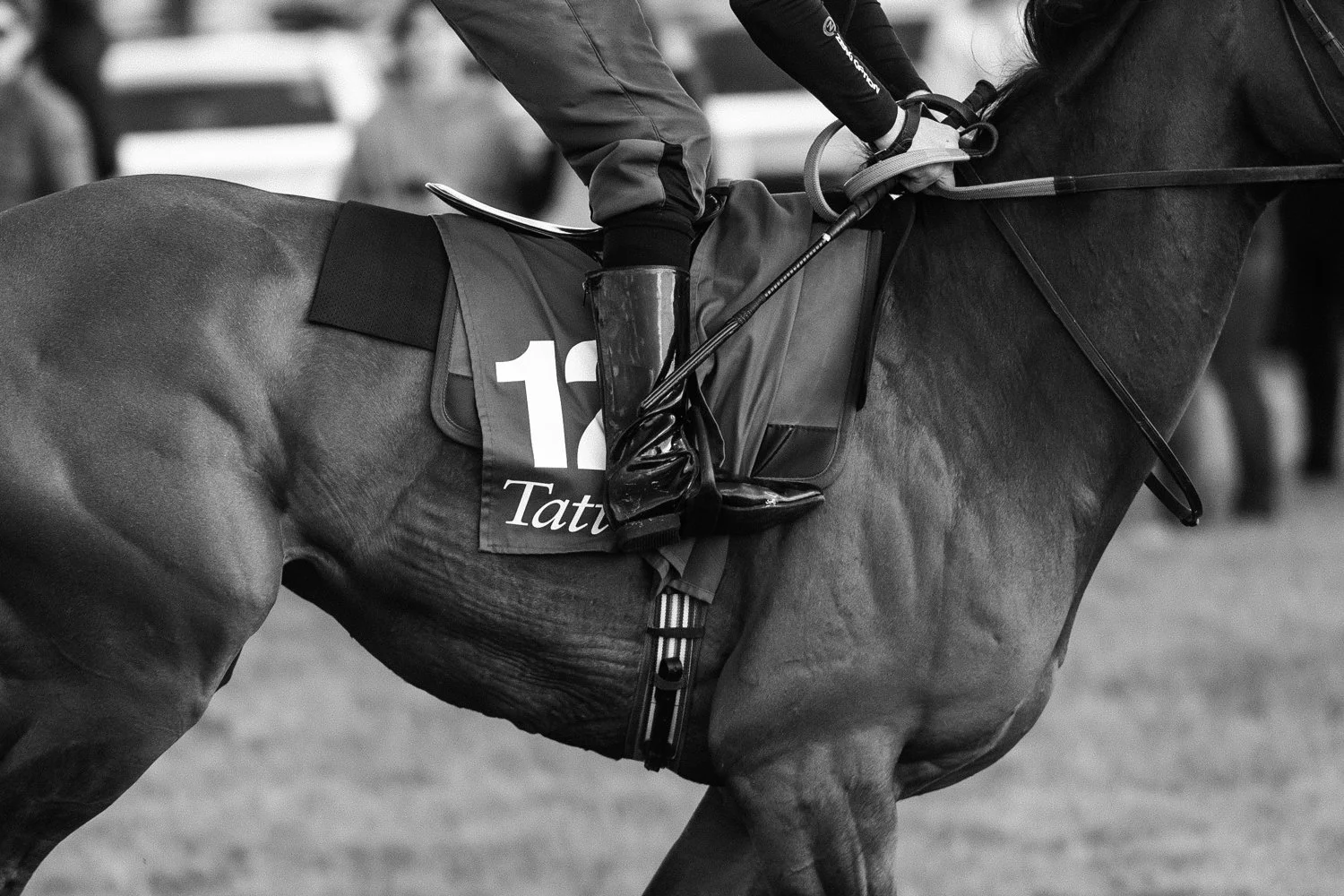 ©Louis James-Parker-00904.jpg