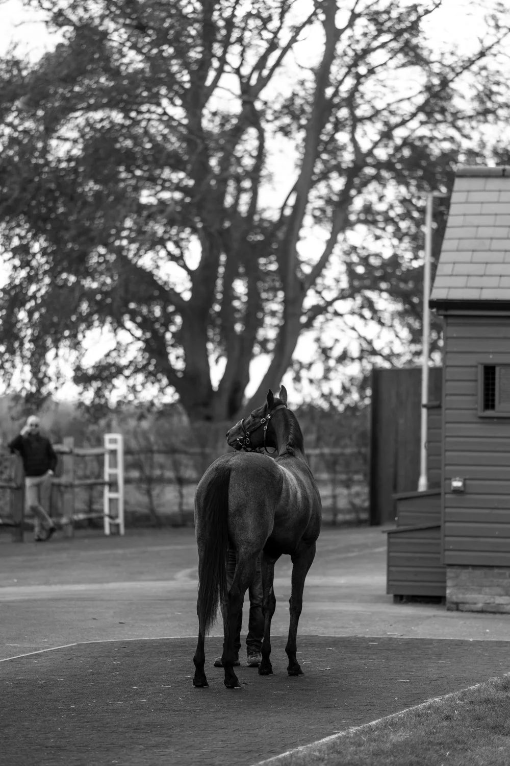 ©Louis James-Parker-01994.jpg