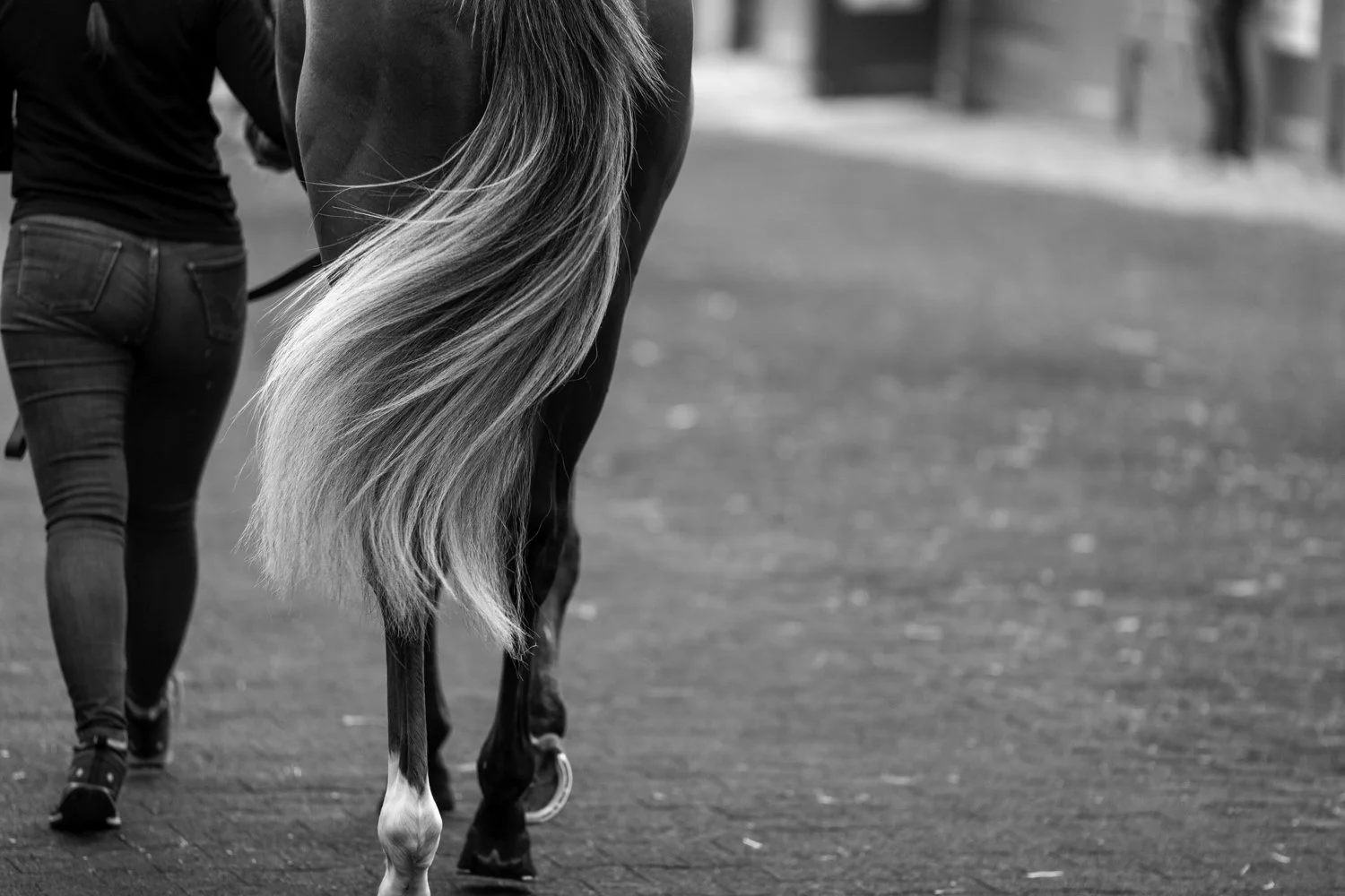 ©Louis James-Parker-02170.jpg