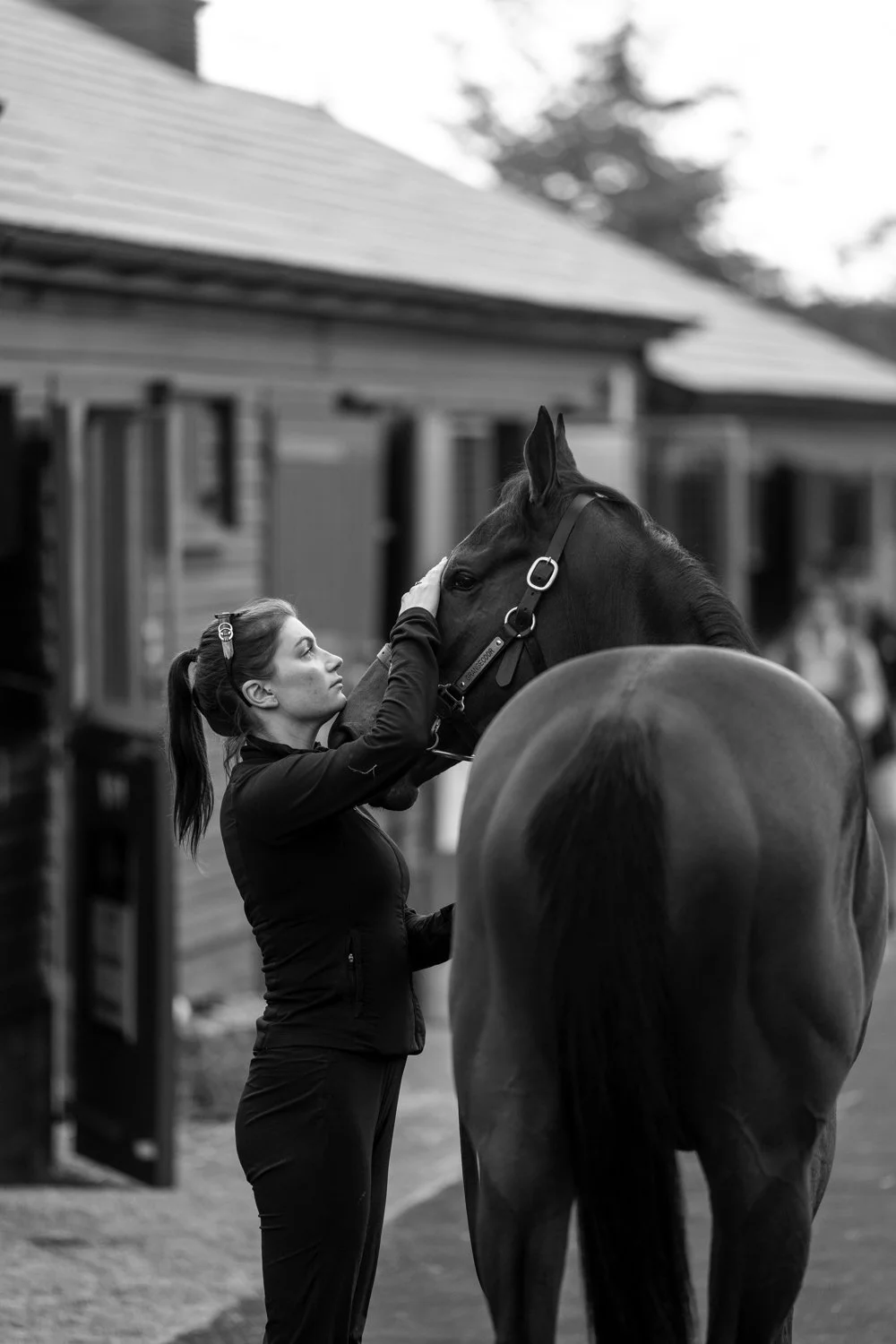 ©Louis James-Parker-02127.jpg