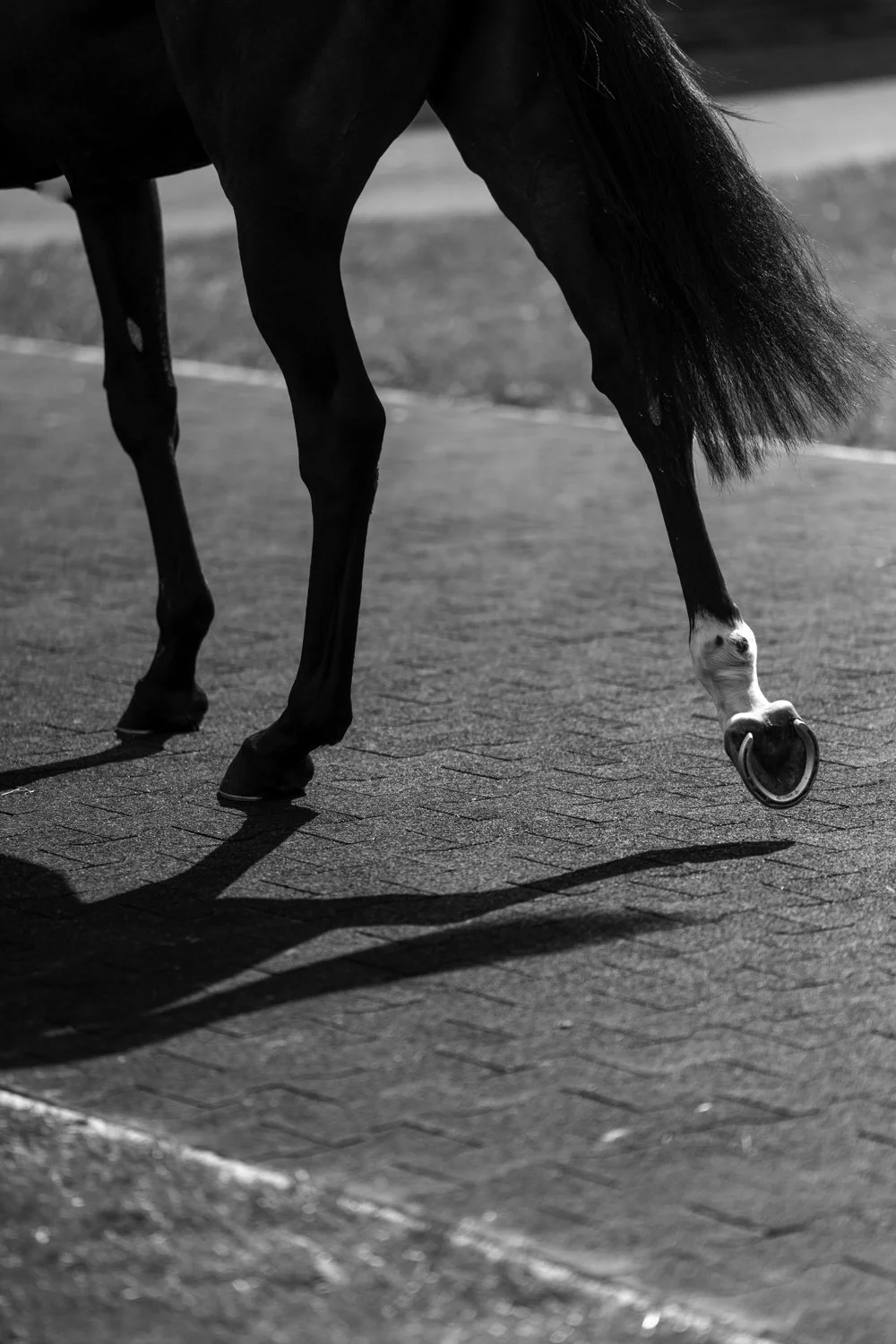 ©Louis James-Parker-01656.jpg