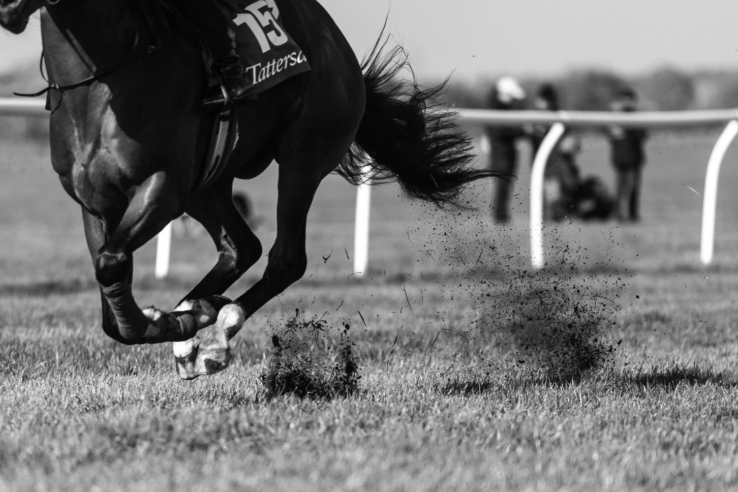 ©Louis James-Parker-00618.jpg