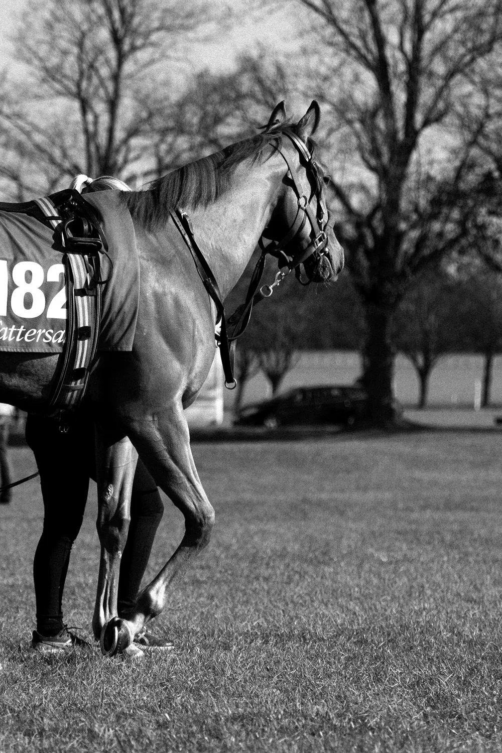 ©Louis James-Parker-00577.jpg