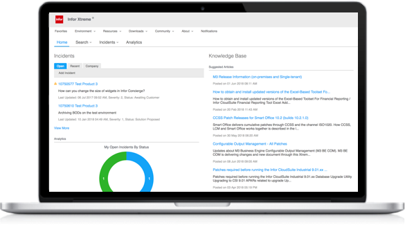 Infor Xtreme is a complex system to navigate, with layers of tabbed navigation. Much of the relevant information that a user needs are hidden.