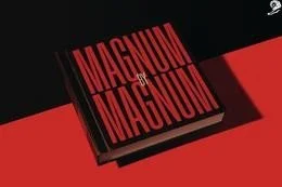 UNILEVER - Magnum by Magnum - MULLENLOWE - Cannes Lions 2019 (Supporting Images from The Work - 586596-5969587).jpg