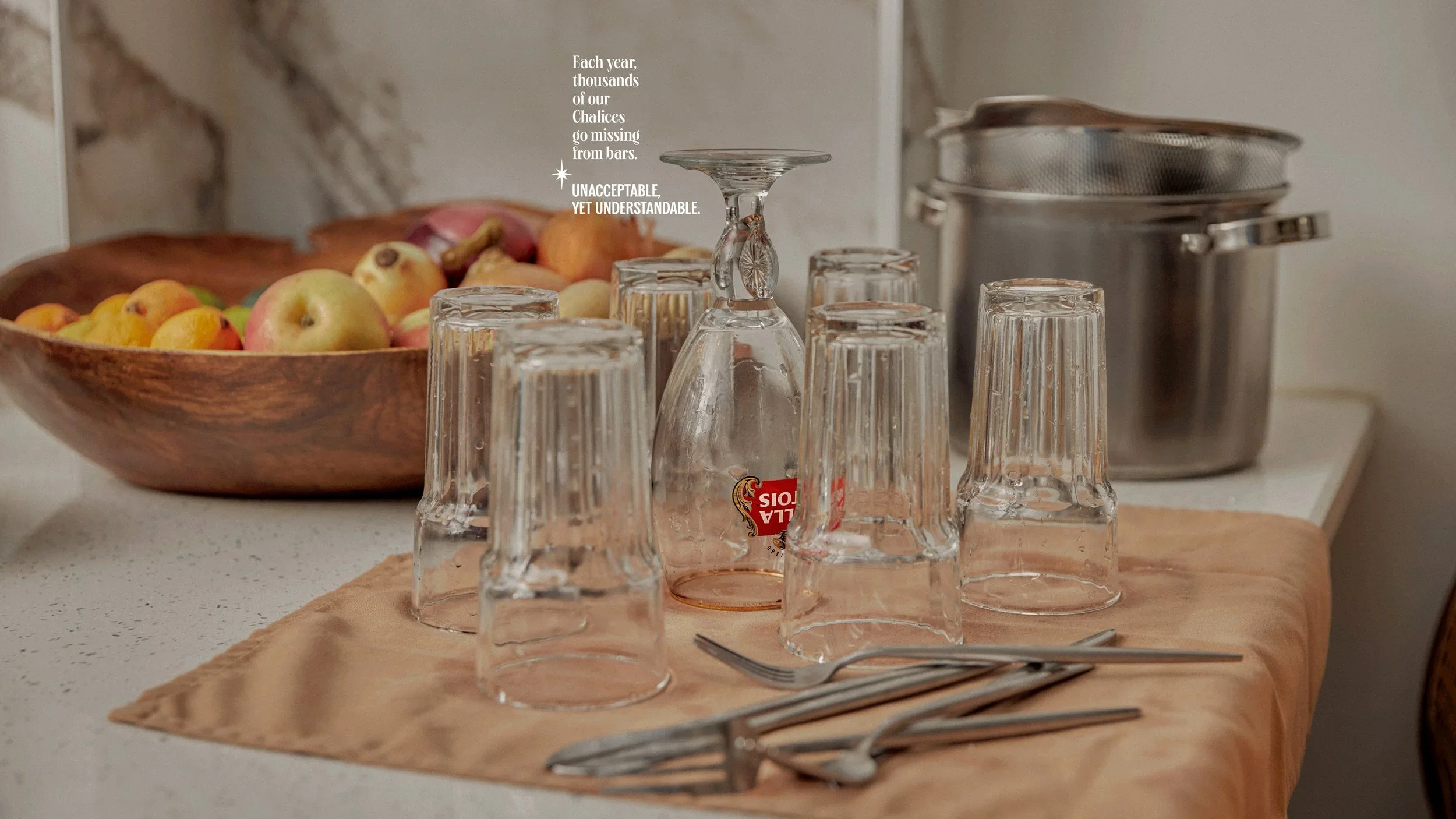StealArtois_KitchenCountertop_Fr.jpg.webp