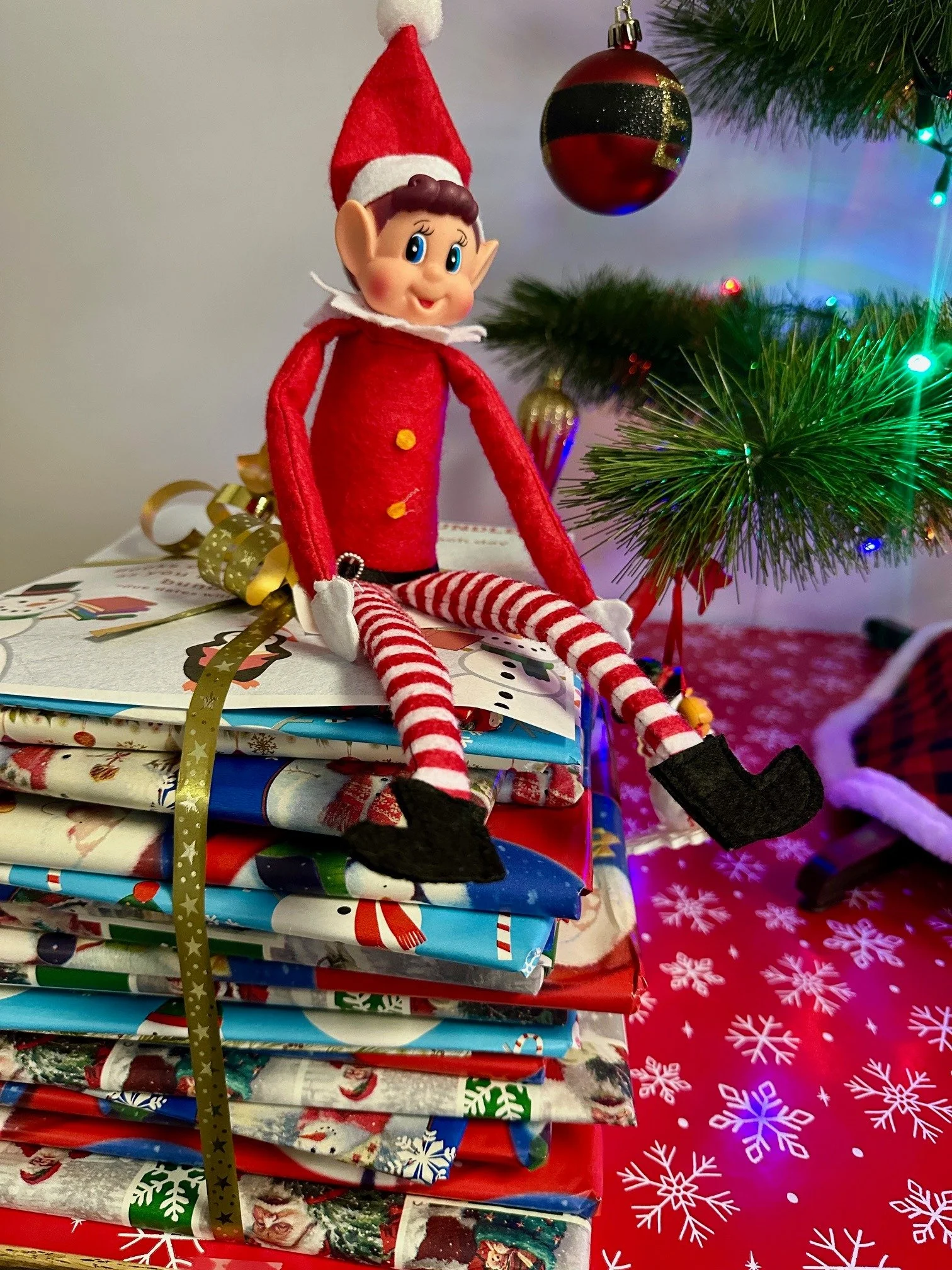 🎄✨ Happy December! ✨🎄
Our little library elf is full of holiday sparkle as families started their Advent Book Bundles yesterday! Here&rsquo;s to a month filled with cozy stories and magical reading moments. ✨🎄