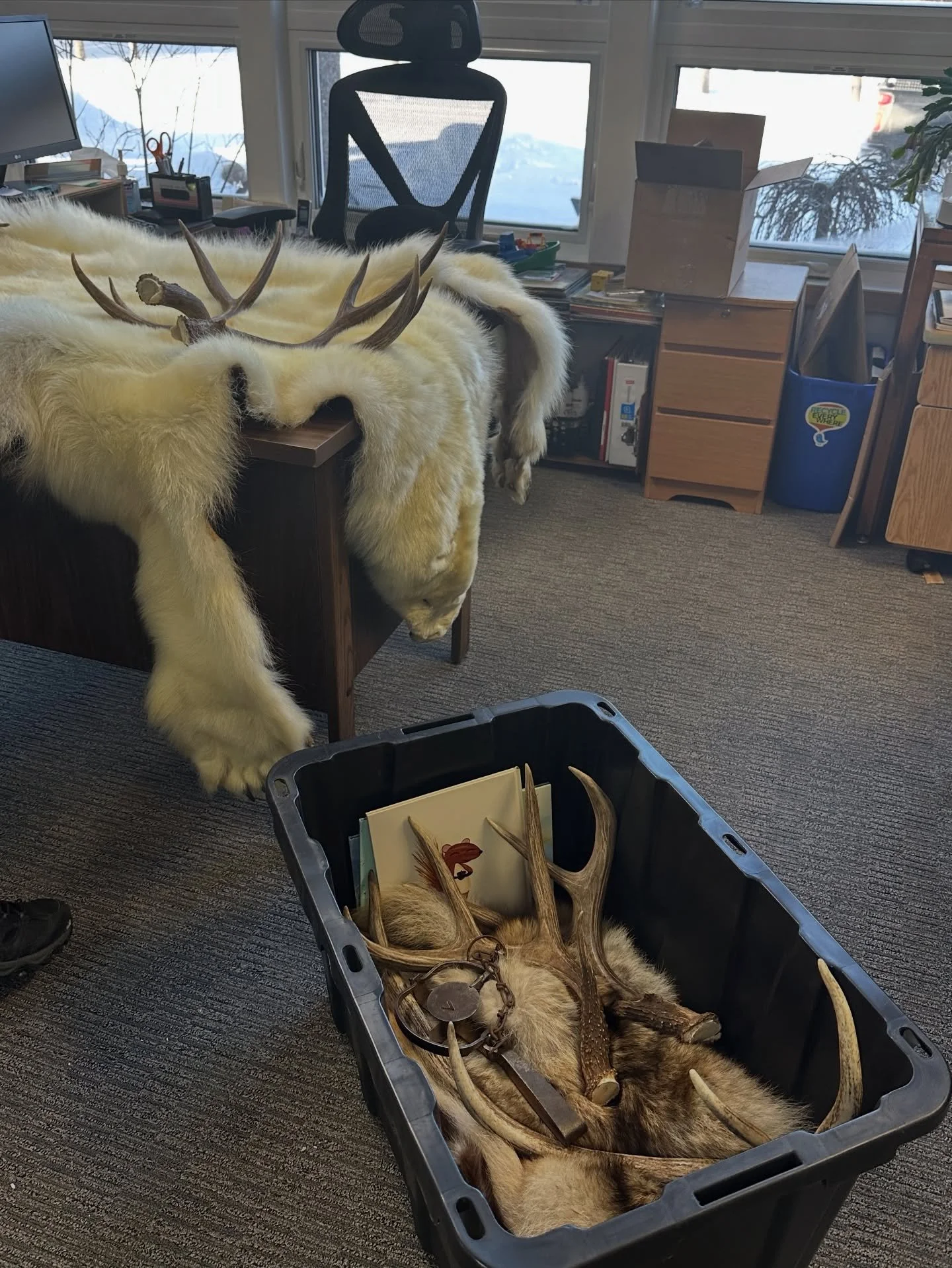 🌲📚 Storytime with Manitoba Conservation is happening this morning at 10:30!
They brought lots of super cool items to share with the kids&mdash;come see, touch, and explore! 🐾