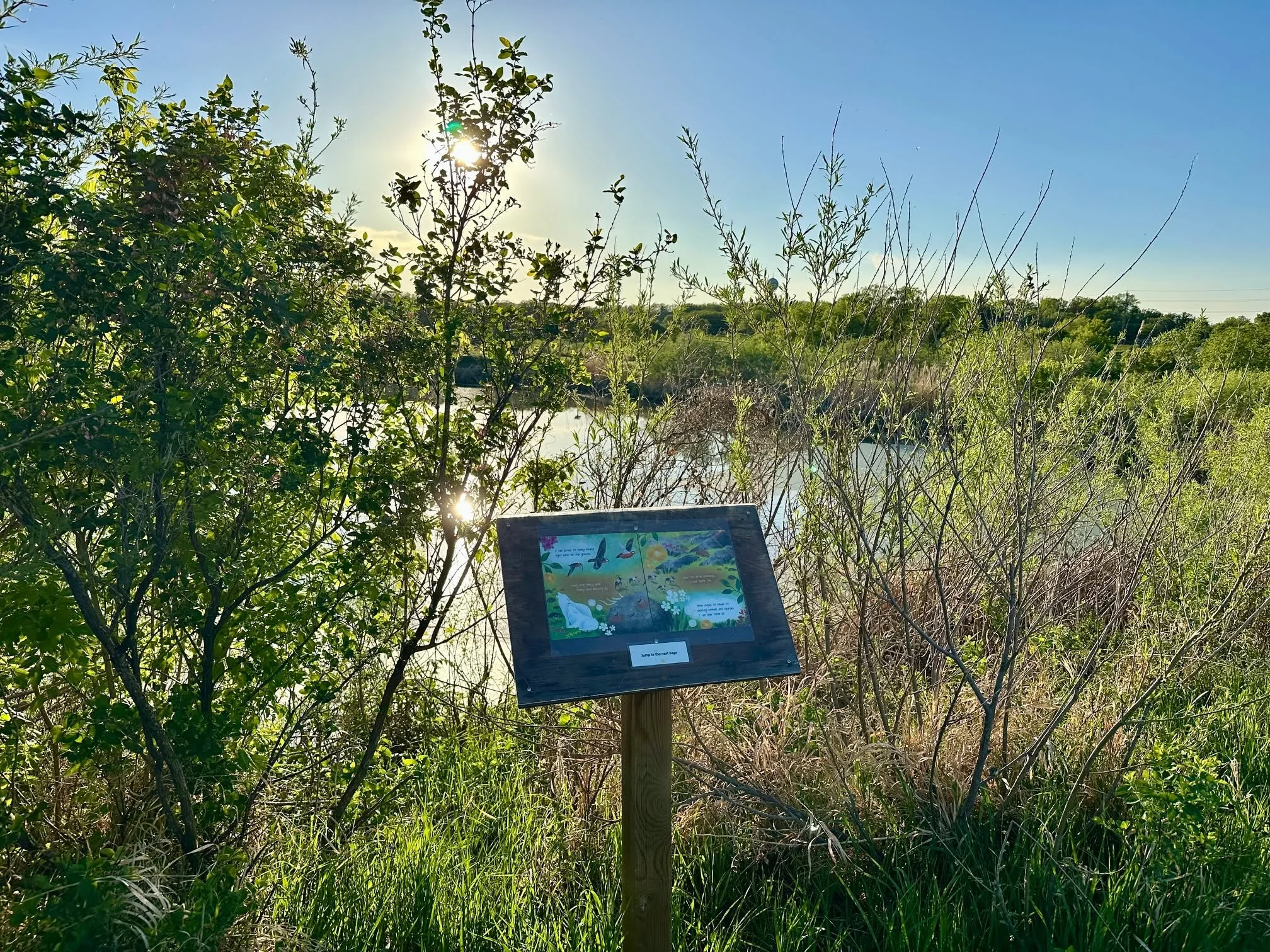 ☀️🌿 The days are finally warmer, the sun is shining, and it's the perfect time to enjoy a walk outdoors!

A brand-new story is now up at the StoryWalk for the month of June. 

One of our favourite things is hearing about all the animals people spot 