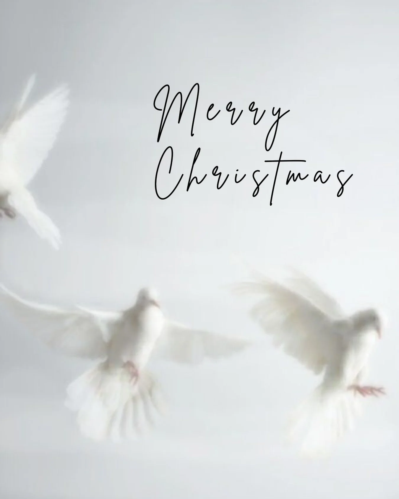 Wishing you a Very Merry Christmas 2025 &amp; sharing my gratitude...🤍

I'm grateful to YOU for being here &amp; part of my soul-tribe ✨️

I'm grateful for the healers, coaches, guides &amp; mentors who've supported me create warrioress-strength to 