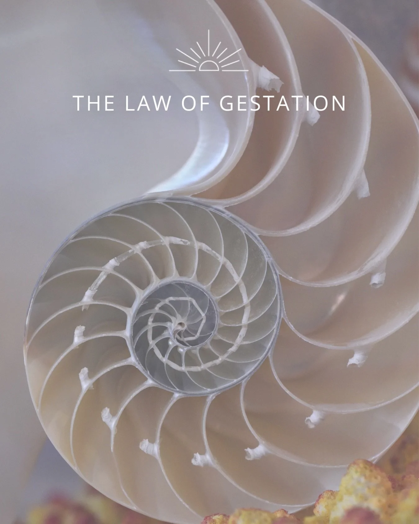 Everything in the created Universe requires a period of gestation before coming into form. 

The 'Law of Gestation' is one of the Spiritual Laws that 'governs &amp; coheres' this embodied material realm of existence we're in.

When we learn to work w
