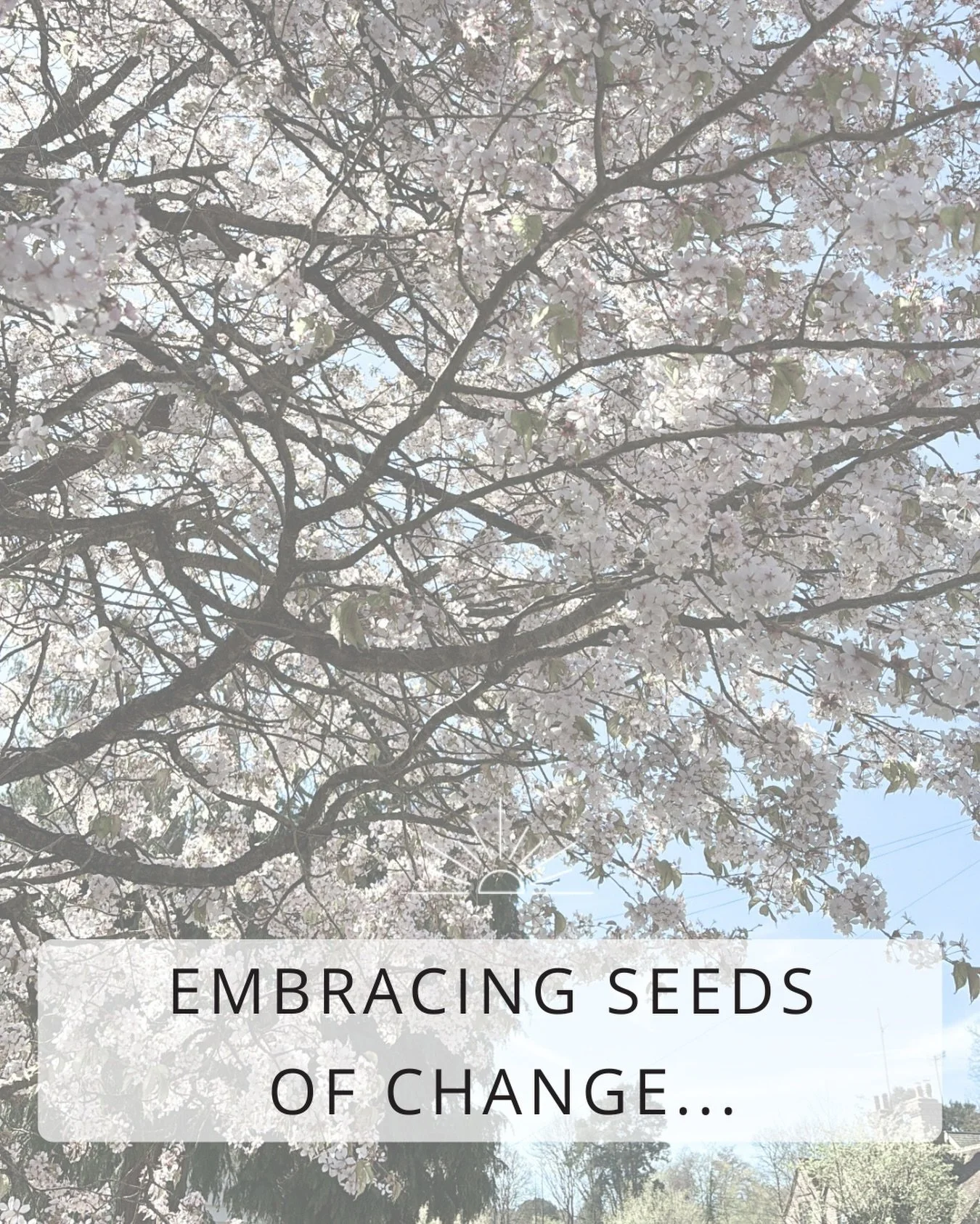 In 2017 I was introduced to Theta Healing&reg; &amp; it changed my life beyond recognition as I realised how powerful belief &amp; energy work was to CREATE.

Before, my main professional working/life has been in art: making Art, practicing Art, lear