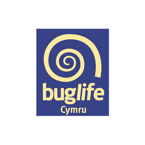 Bug_Life.jpg