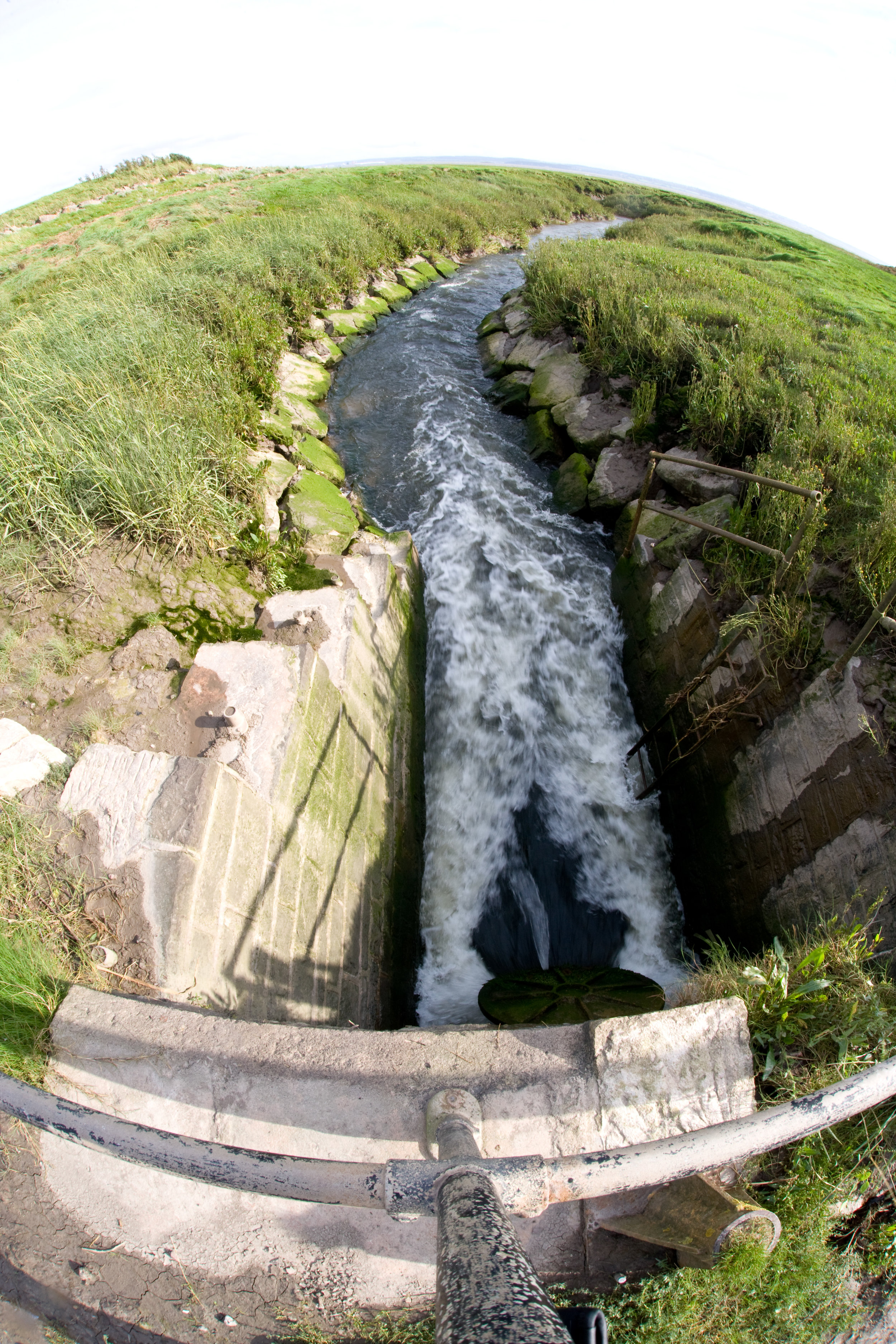 Different Levels Project Page.jpg