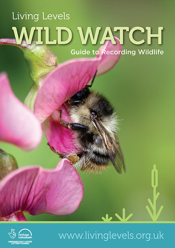 WW - Guide to Recording Wildlife.jpg