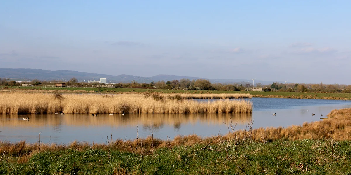 goldcliff lagoons2.jpg