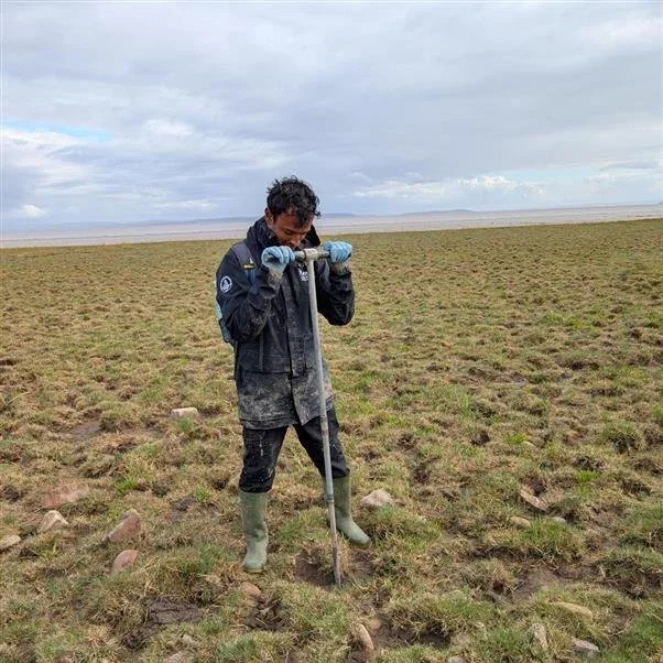 This summer, PhD student Kurotamunoye Amadi-Rapheal from @cardiffuni teamed up with the Living Levels Partnership to study carbon storage in restored saltmarshes across the Gwent Levels🌊🌾🐚🦀

 🧪 98 soil samples. 4 habitats. 1 big question: Can re
