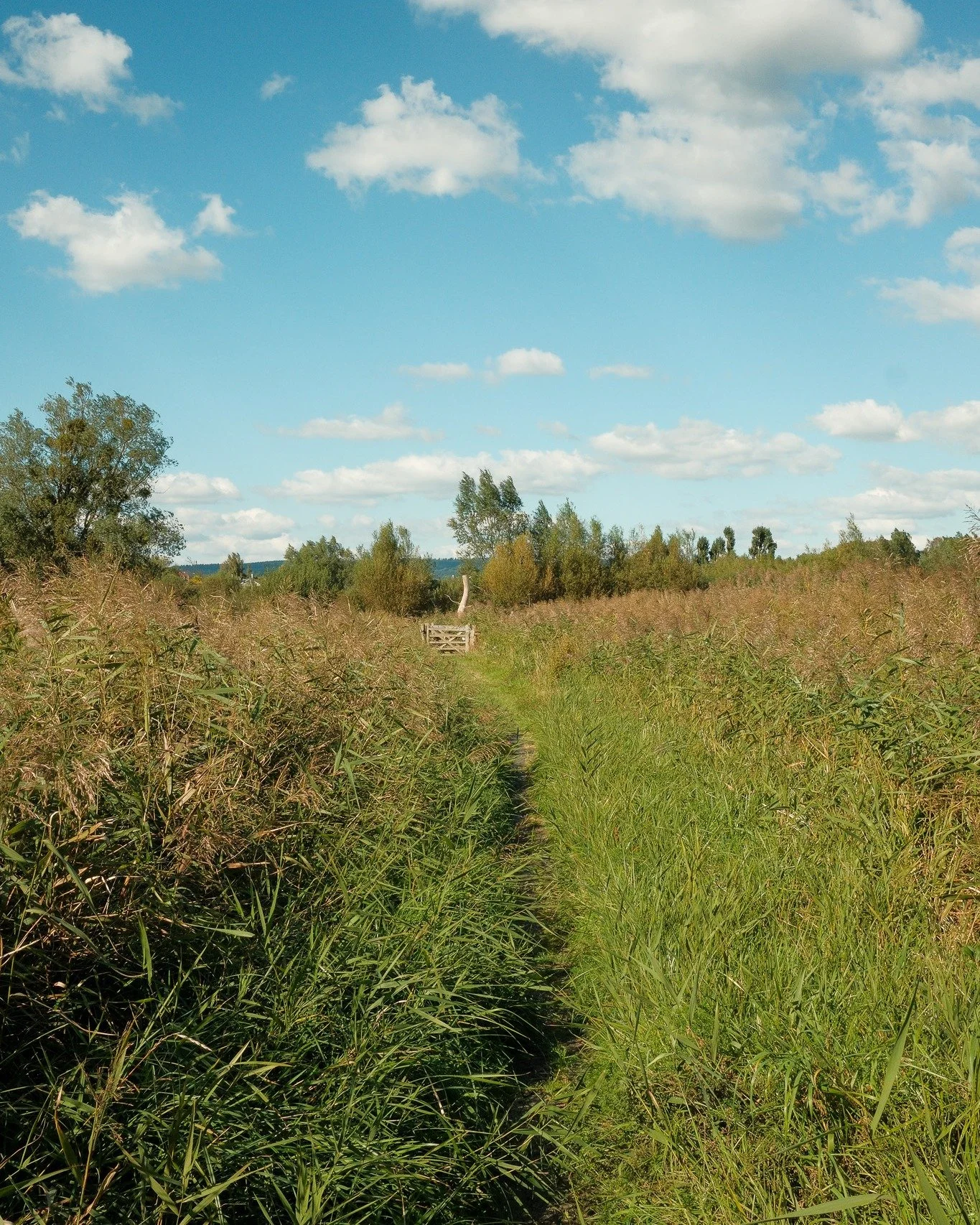 The seasons are shifting fast across the Gwent Levels, and summer&rsquo;s lush greens are transforming into a spectacular palette of ambers and crimsons🍂 

We&rsquo;re bringing #LevelsLocations back for autumn to highlight the sites across the #Gwen