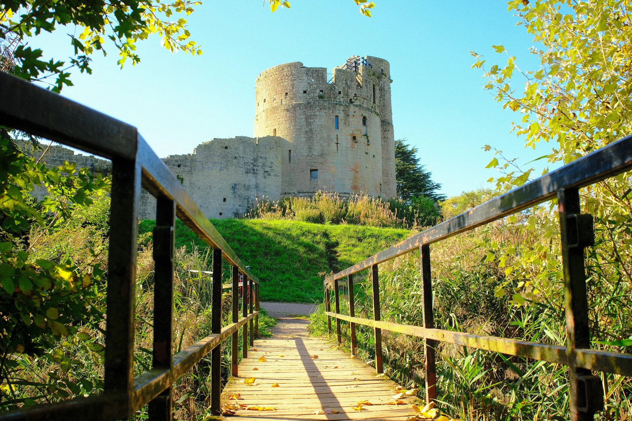 Experience Caldicot Castle in colour for this weeks #LevelsLocation 

Surrounded by deciduous trees, its grounds glow with golden leaves, perfect for leaf-spotting, peaceful strolls, or pinecone collecting with the family 🍂🌰 

📸- @casparticus (Vol