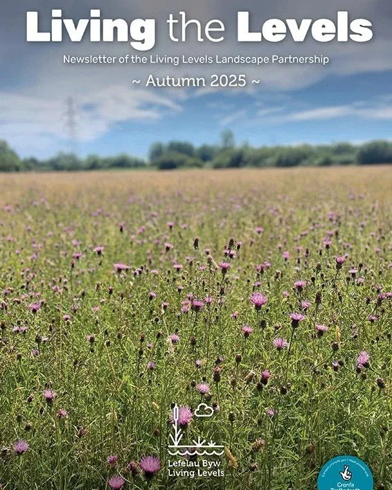 🍂The Autumn edition of the Living the Levels newsletter is here🍂

Curious what we've been up to? Download a copy to dive into...

🗣 Updates from the Living Levels team 
📖Fresh stories from across the Levels 
🔮 A sneak peek at what&rsquo;s (hopef