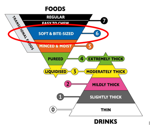 Guide to IDDSI Regular Easy to Chew (Level 7) — Roche Dietitians