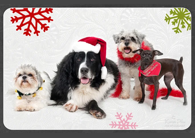 DOGS015.jpg