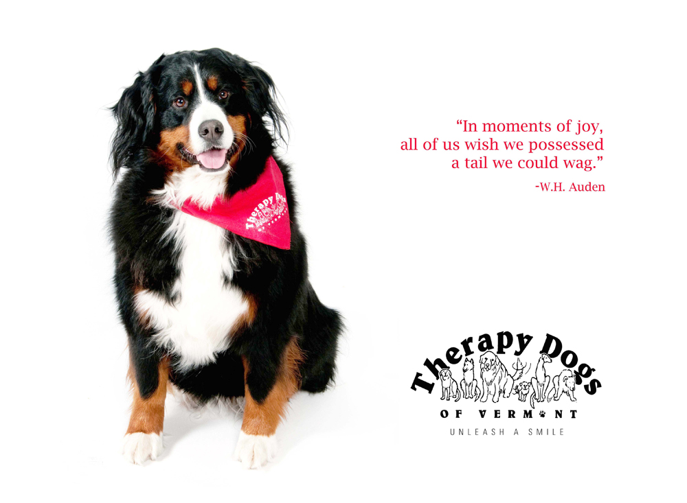DOGS018.jpg