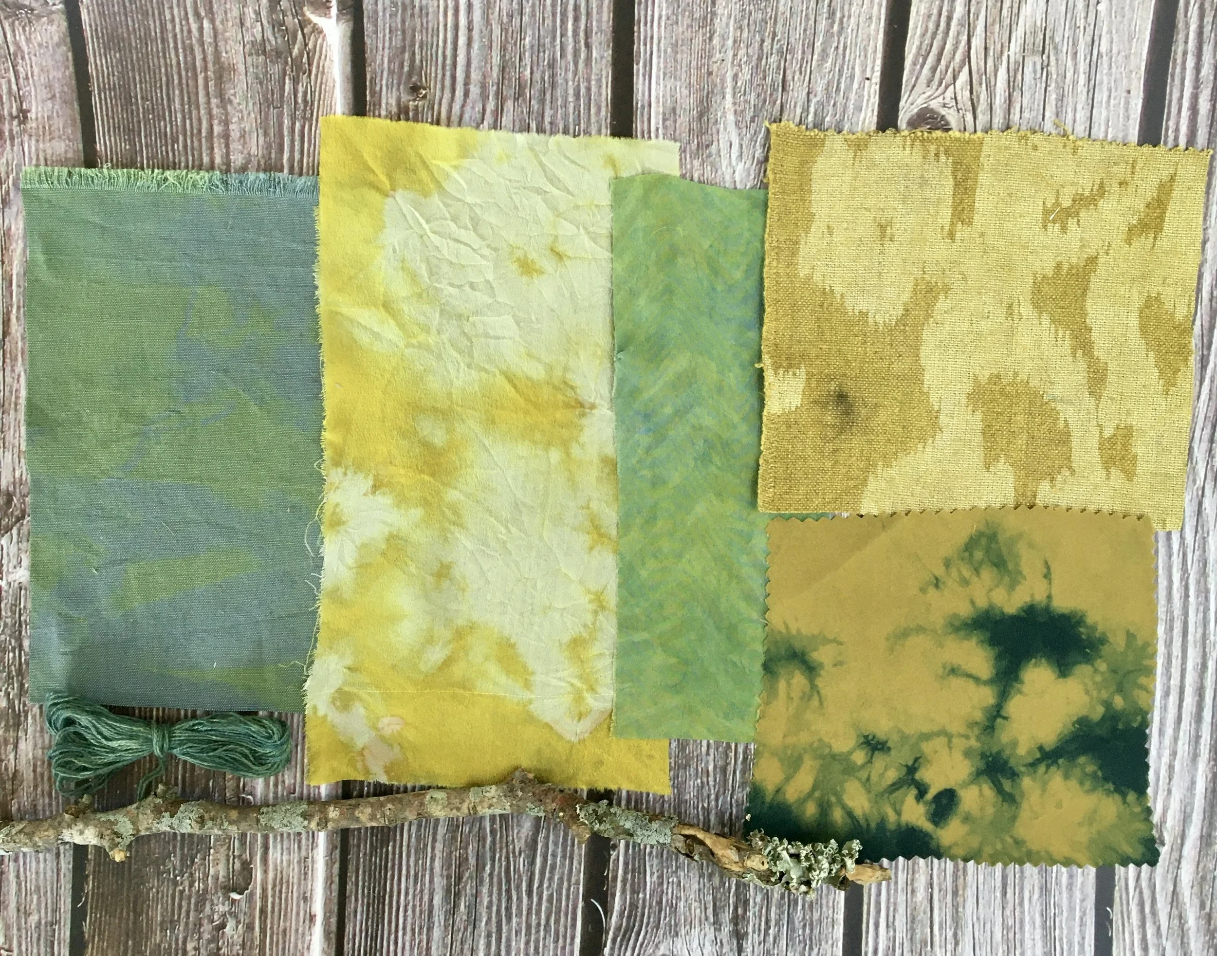 Natural Dye Pack - Lichen