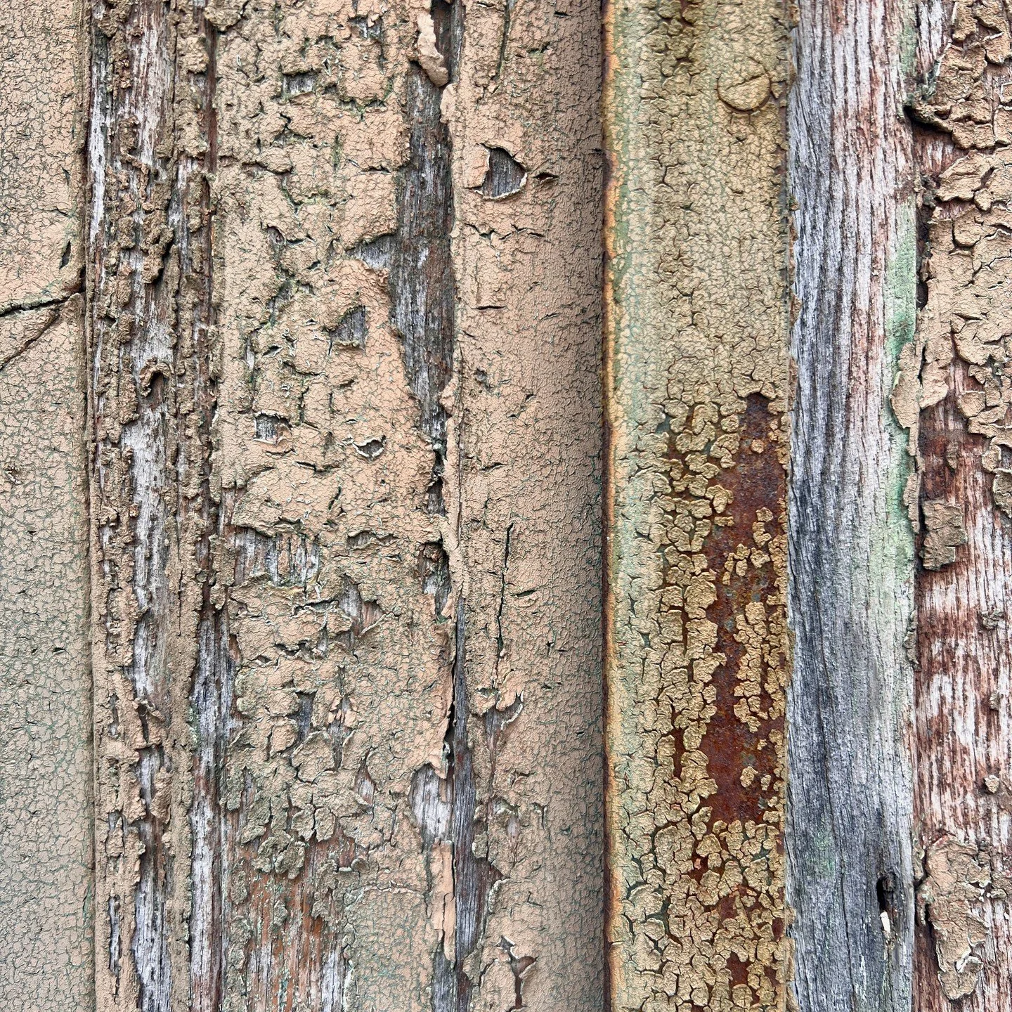 Paint patina has such fantastic colours and textures! The beige is made much more interesting with the touches of warm brown, green, ash, ecru, and rust.

#patina #colourpalette #peelingpaint