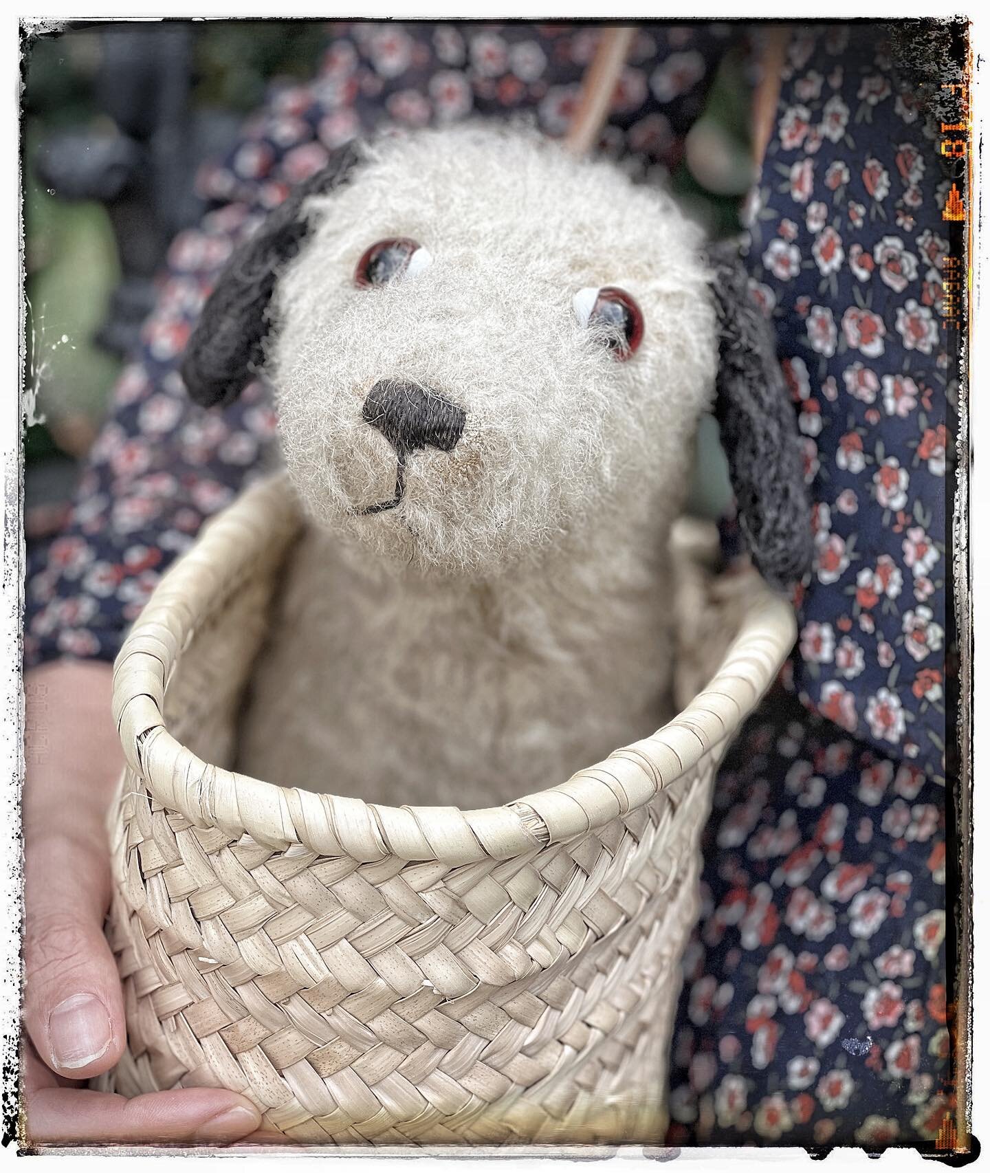 This very sweet little fella wasn&rsquo;t with us for long but, very pleased he&rsquo;s gone to a fabulous new home.  #vintagemohairtoydog #itsadogslife @kittybg #vintage #fullofcharacter #georgeandbethvintage @georgeandbeth #mansbestfriend #dog