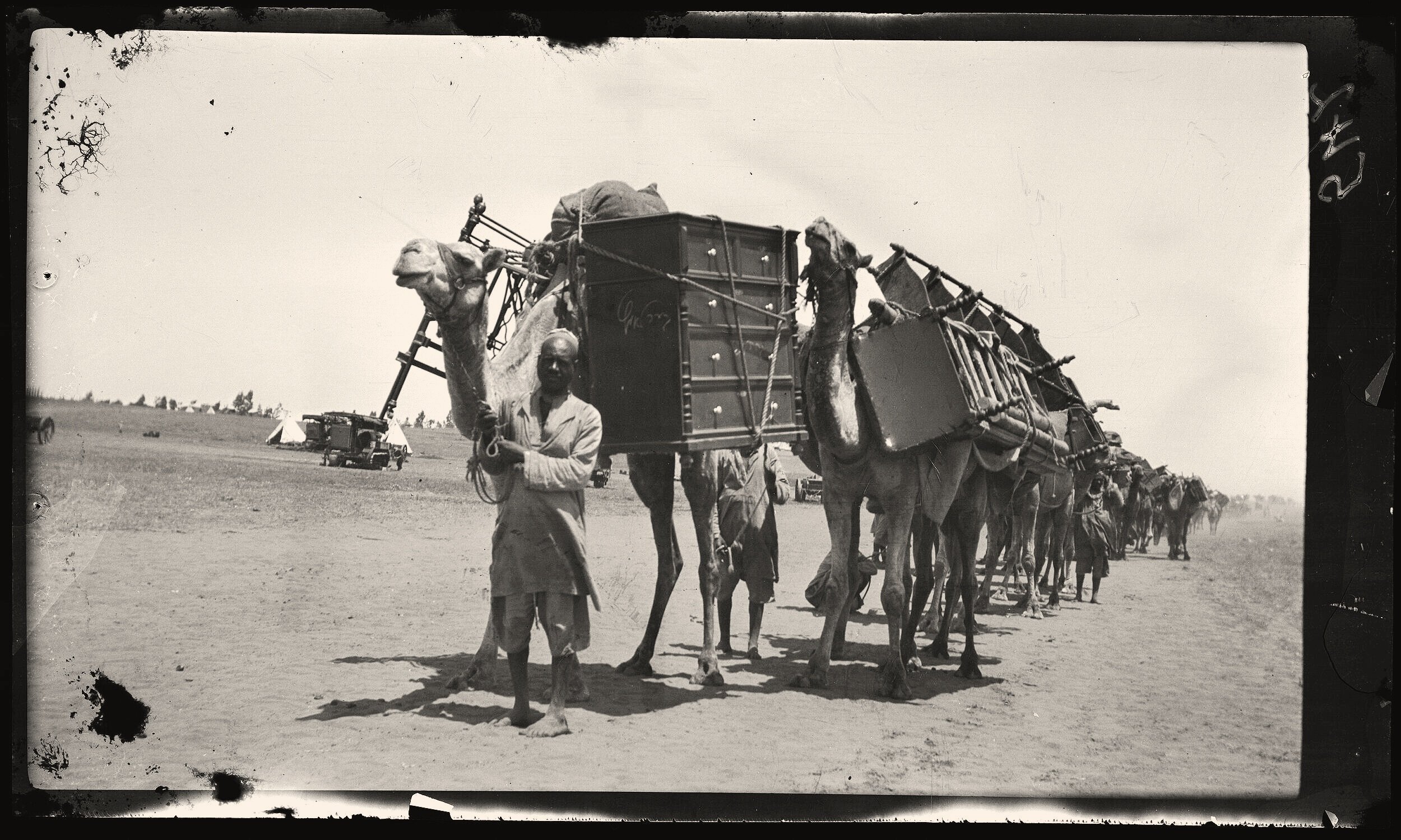 Camel Caravan - Sinai Desert