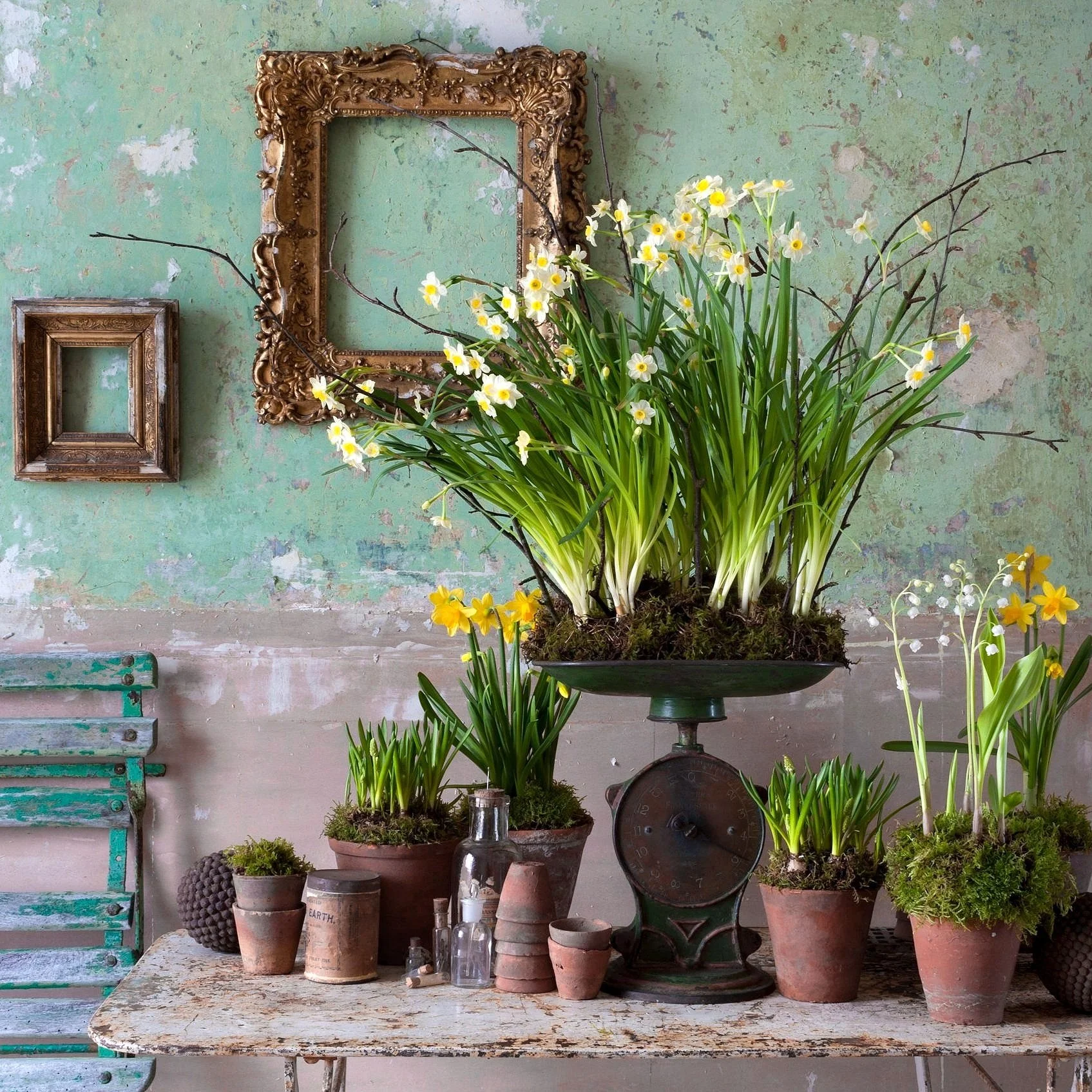 _HFP3588.jpg