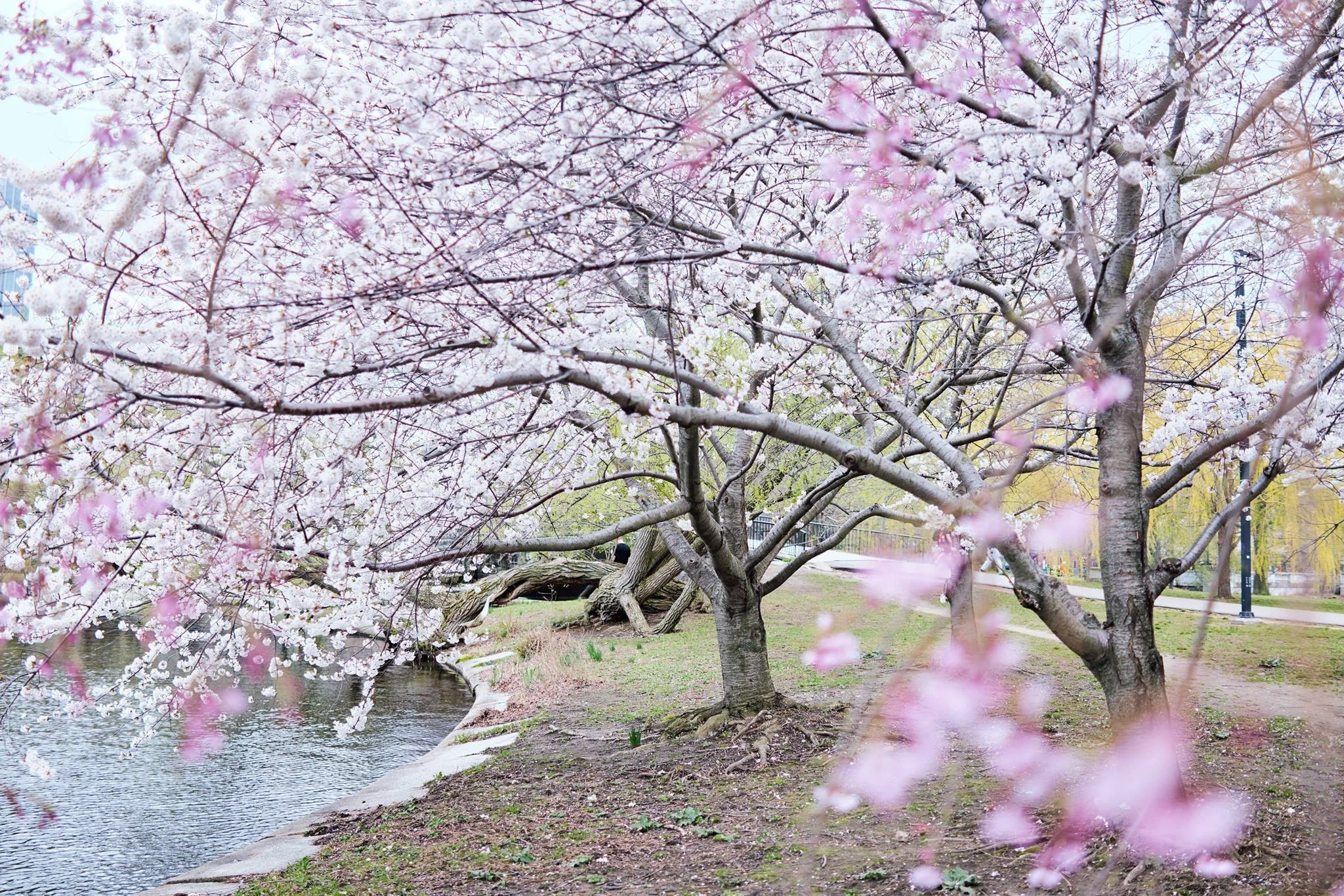 Thriving 30, Volume 19: What happens when you quit your job