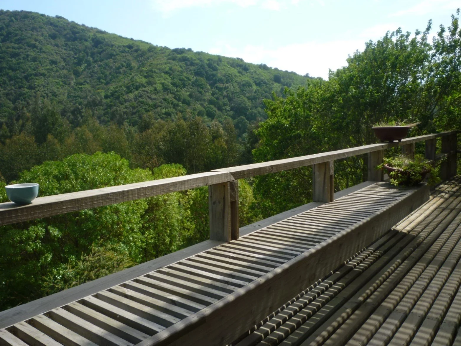 P1000835.JPG