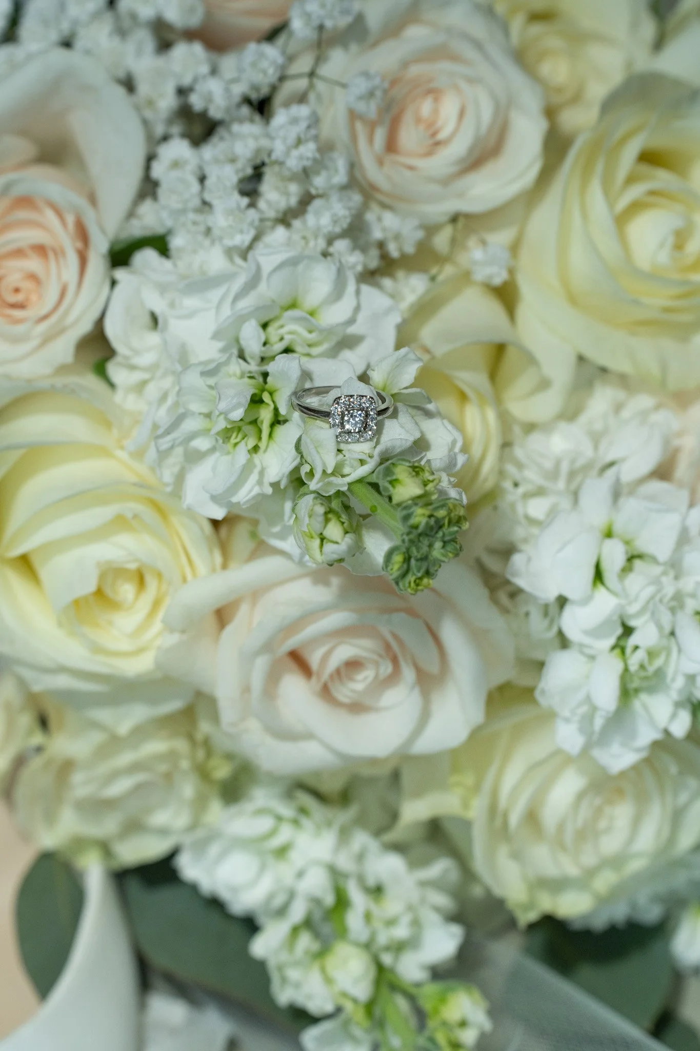 Amy & Raúl _  (402).jpg
