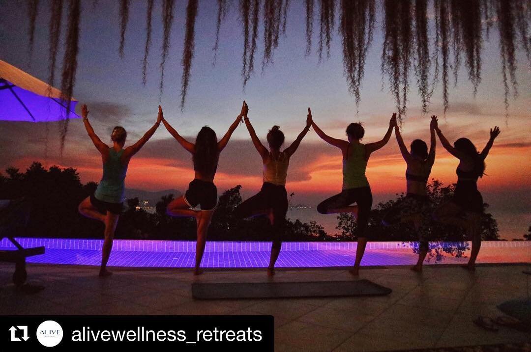 #Repost @alivewellness_retreats ・・・
Creating magic together💛🧡❤️💜
#kohsamui #yogaretreat #alive #aliveretreat #intenselyalive #yogi #wellness #yogaandwellness #paradise #yogateacher #retreats #retreatyourself #wellbeing #treepose #yogagroup #groupy