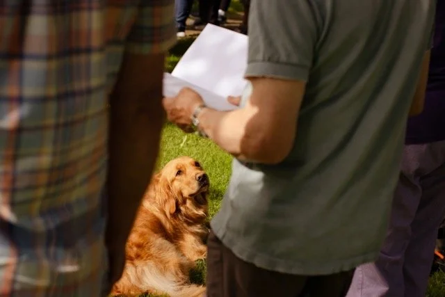 LincolnDiocesanGuild-022 Medium.jpeg