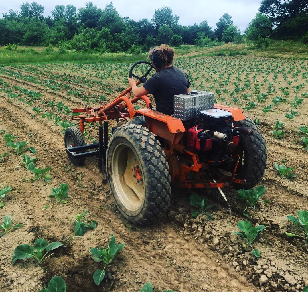 marcy tractor.jpg