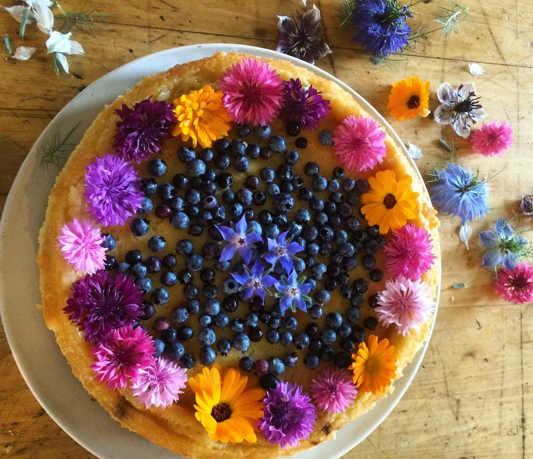 Flower Cake.jpg
